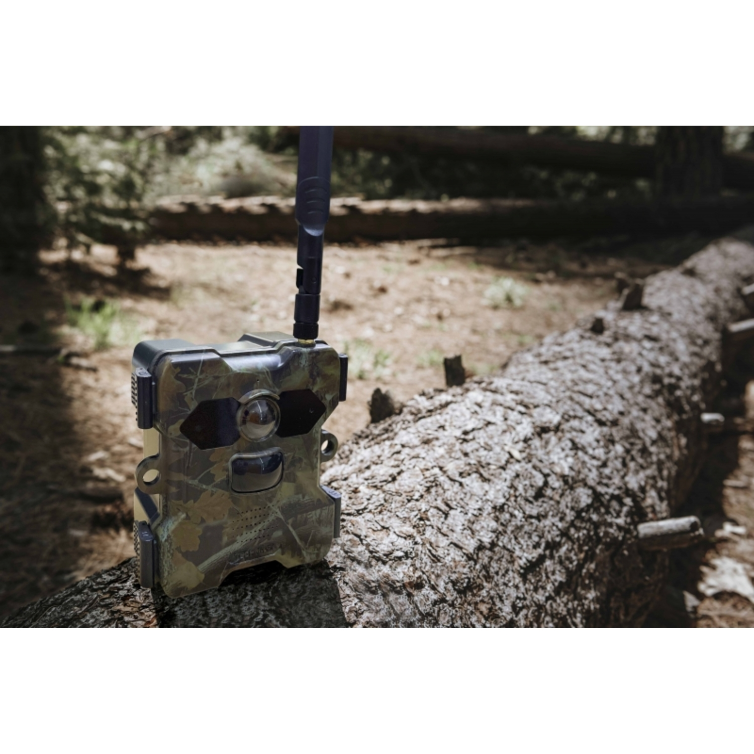 Trailcamera met camouflagepatroon op een gevallen boomstam in een bos. Zwarte antenne.