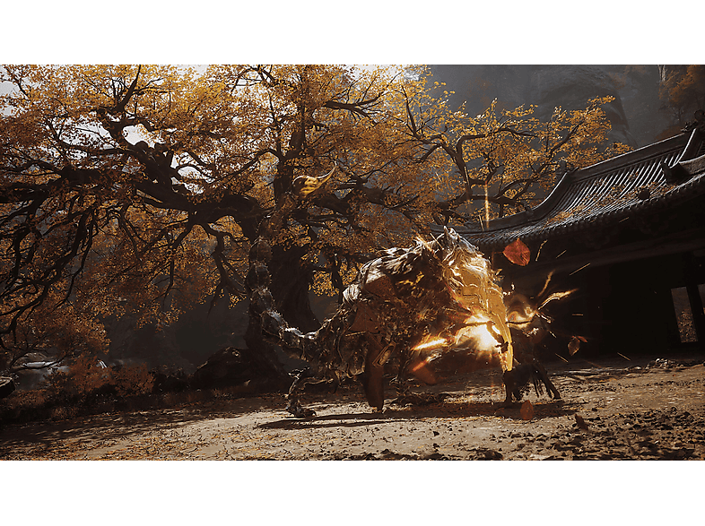 Black Myth: Wukong - PlayStation 5 [Blu-ray] — Foto 3 von 5