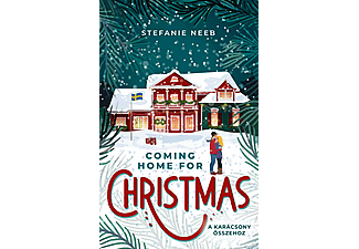 Stefanie Neeb - Coming Home For Christmas