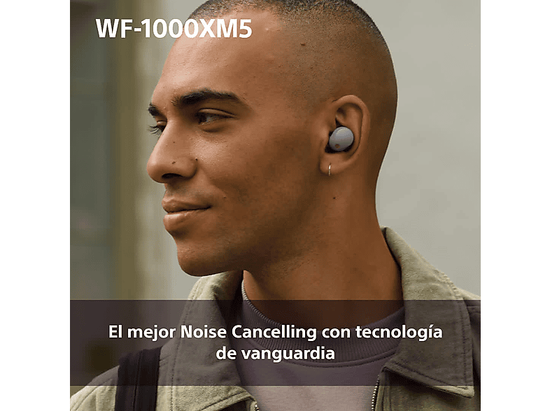 Vista 2