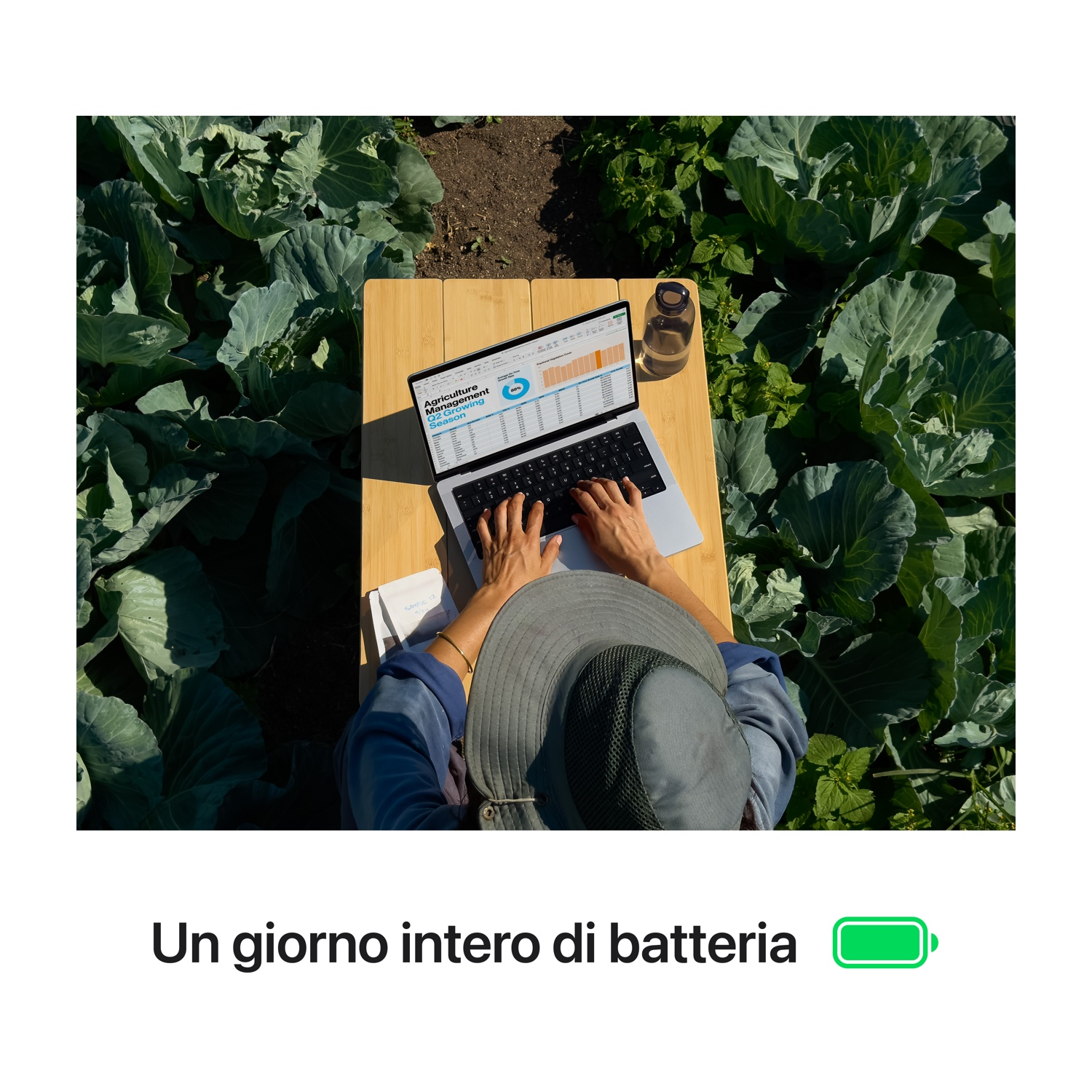 Una persona lavora su un laptop su un tavolo di legno all'aperto, sfondo con cavoli.