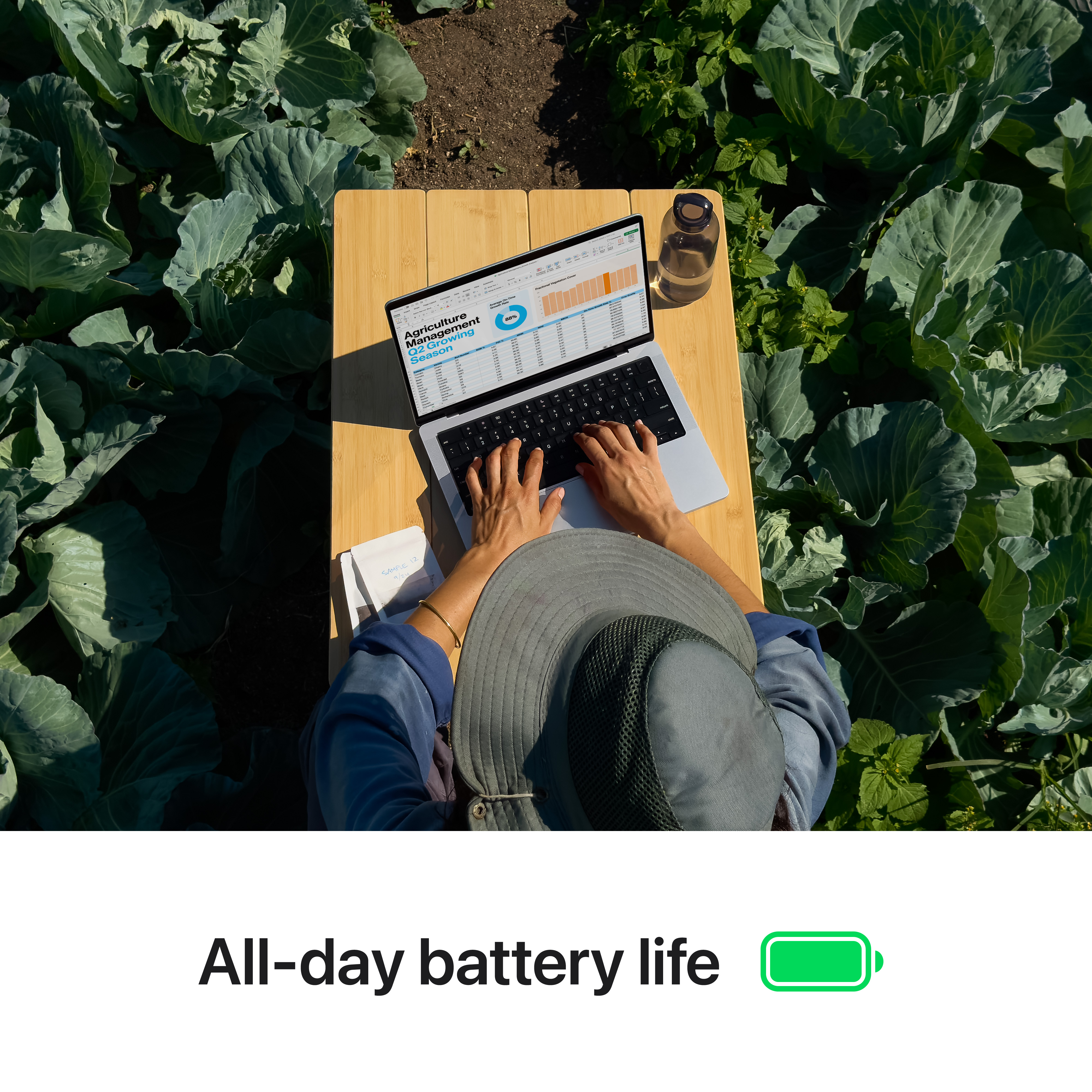 Persona che lavora su un laptop su un tavolo di legno in un campo di cavoli. Sfondo verde.