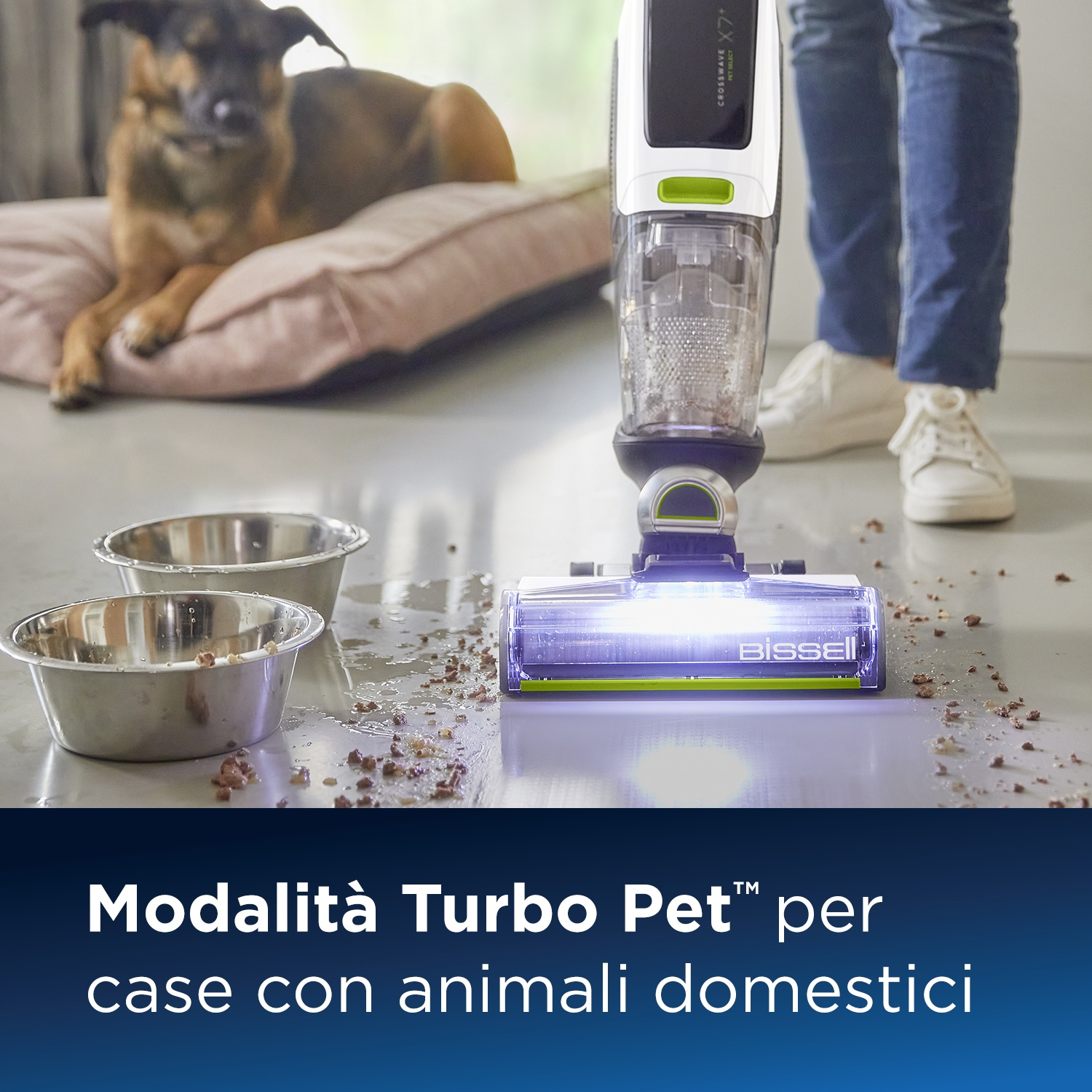Aspirapolvere che pulisce il pavimento, cane su un letto e due ciotole.