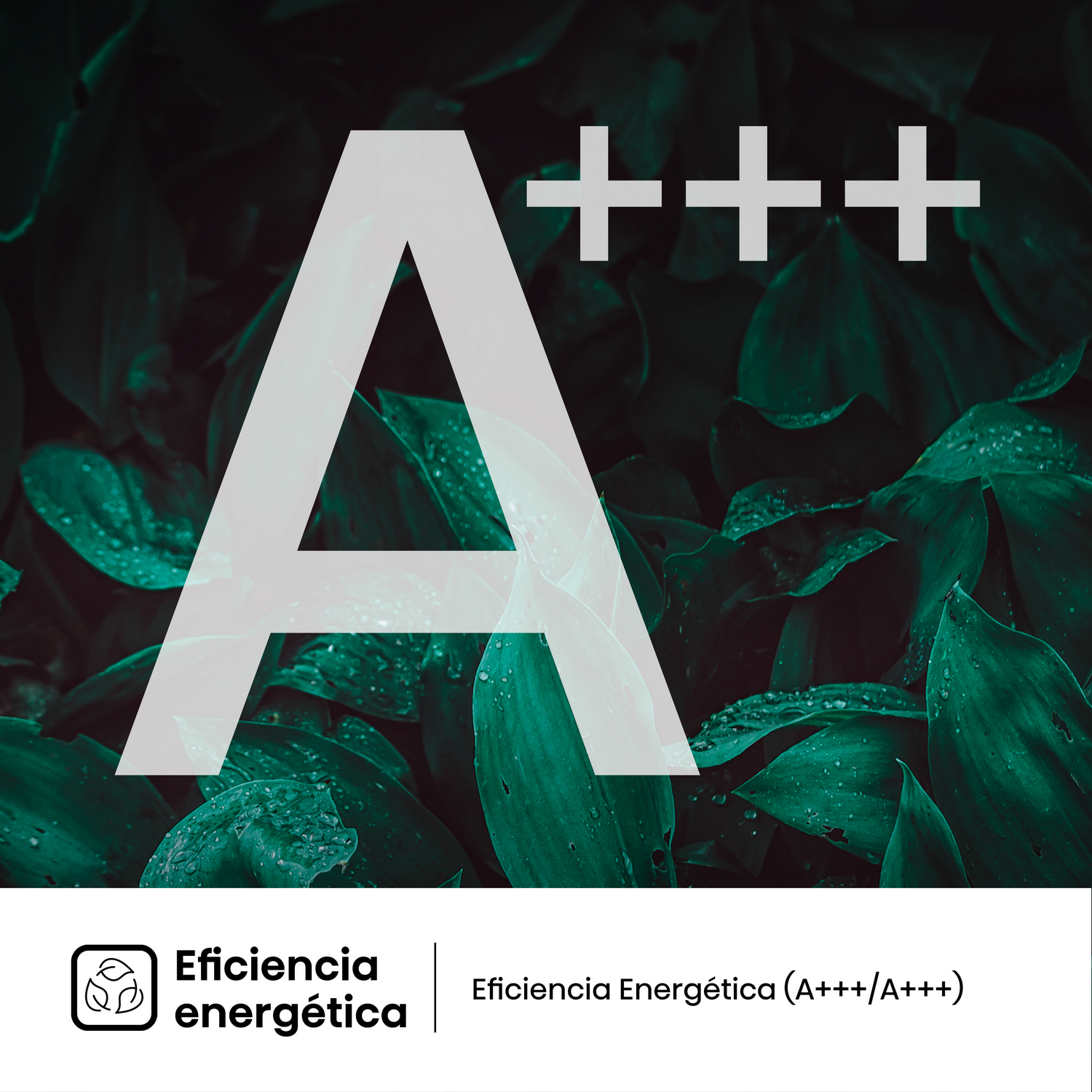 Imagen de hojas verdes con un gran símbolo A+++ blanco y texto 'Eficiencia Energética'.
