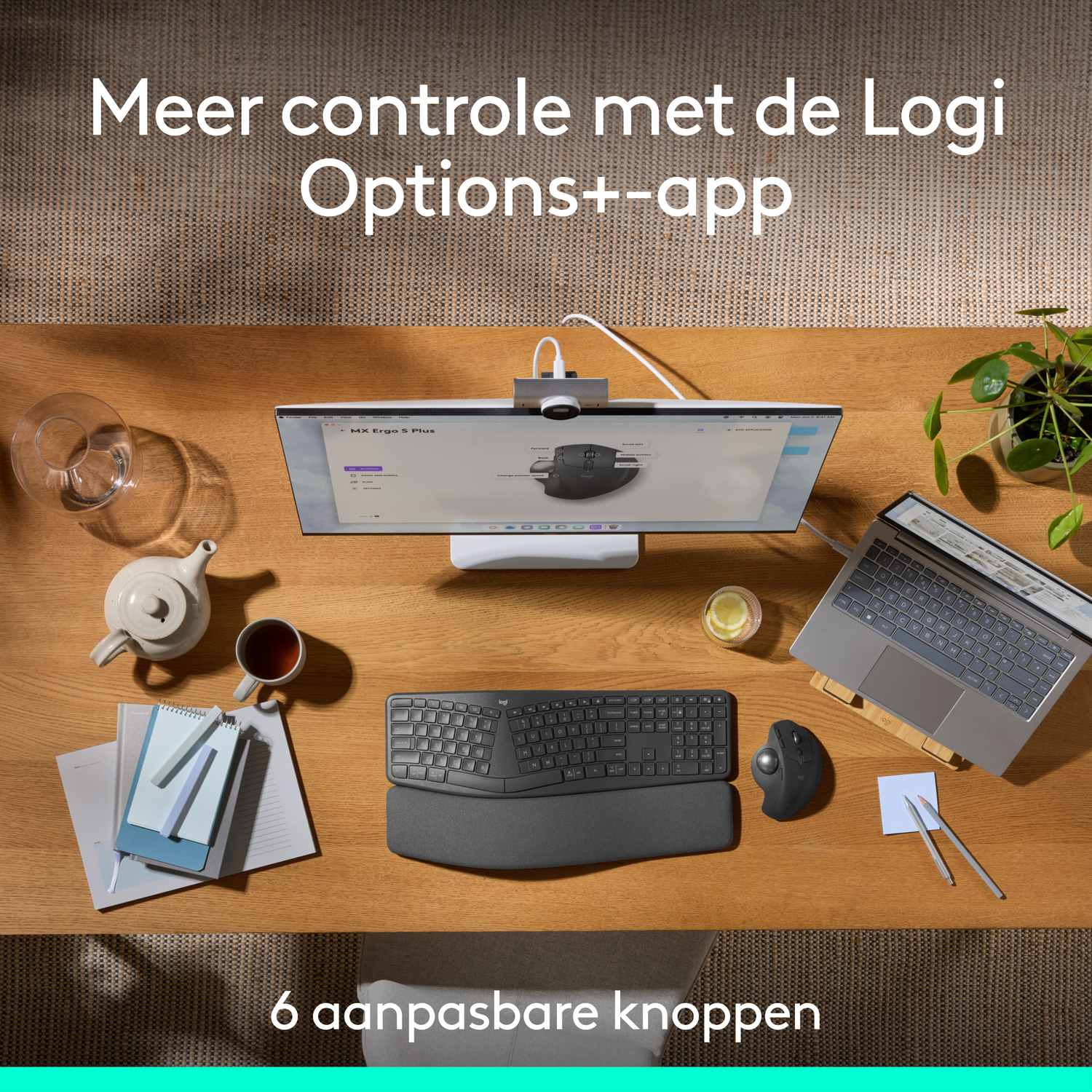 A wooden table with a computer, keyboard, mouse, and plant. Text: More control.