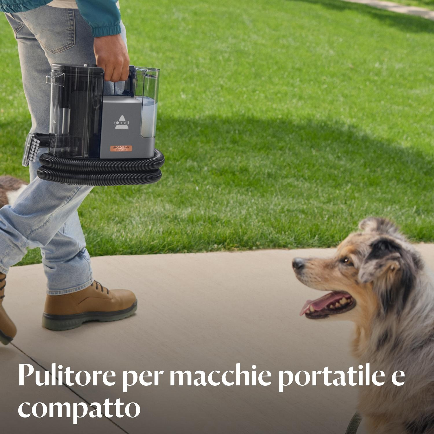 Una persona che trasporta una pulitrice per tappeti portatile, un cane guarda.