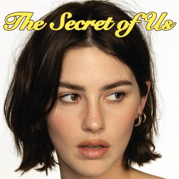 Une femme aux cheveux courts et foncés regardant sur le côté, le texte 'The Secret of Us' est au-dessus de sa tête.