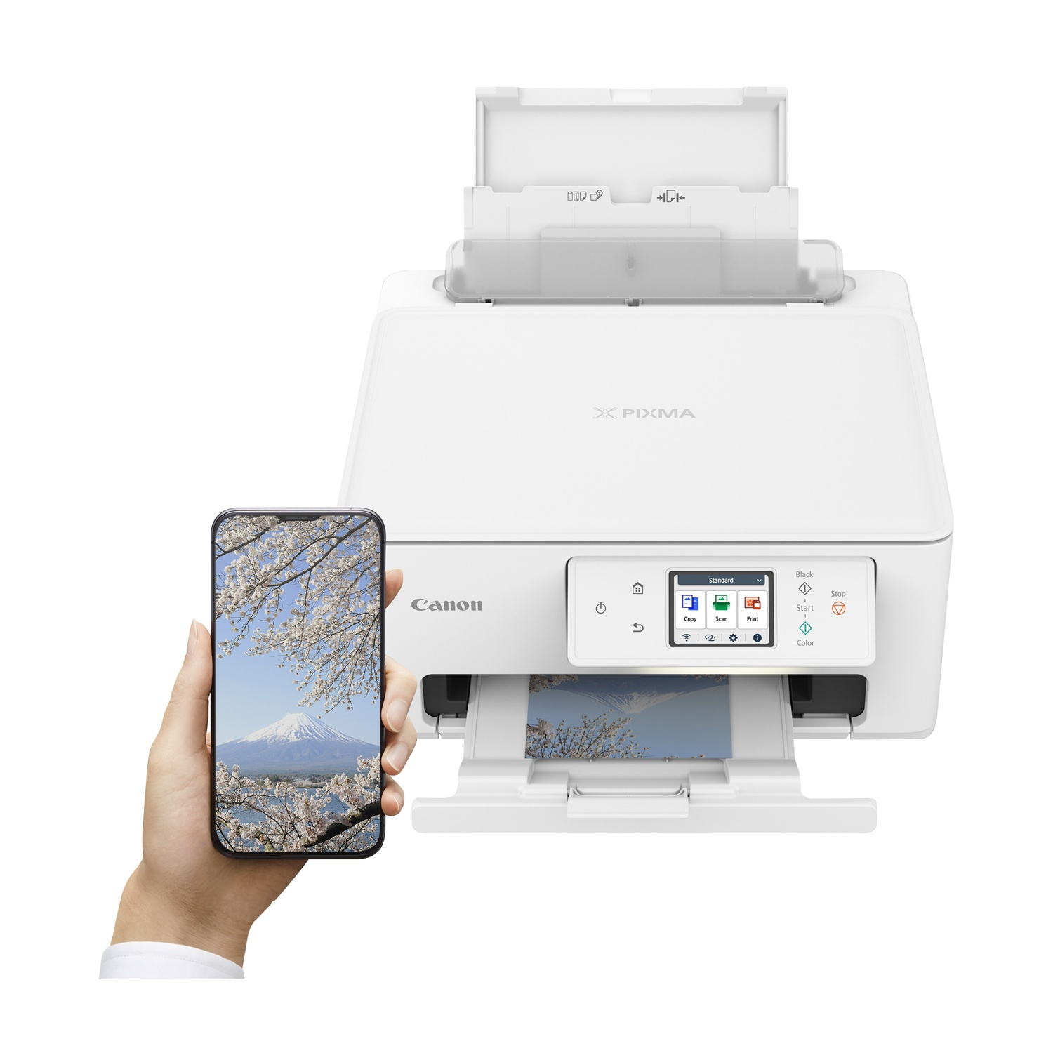 Stampante Canon bianca con telefono che mostra un'immagine di montagna e una stampa.
