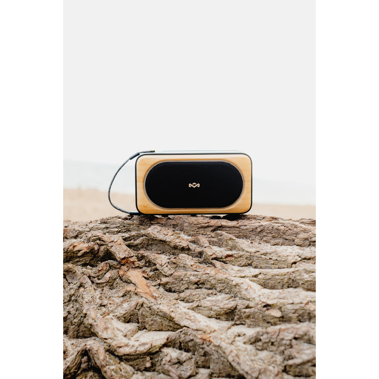 Een houten luidspreker op een boomstam, met een strand op de achtergrond.