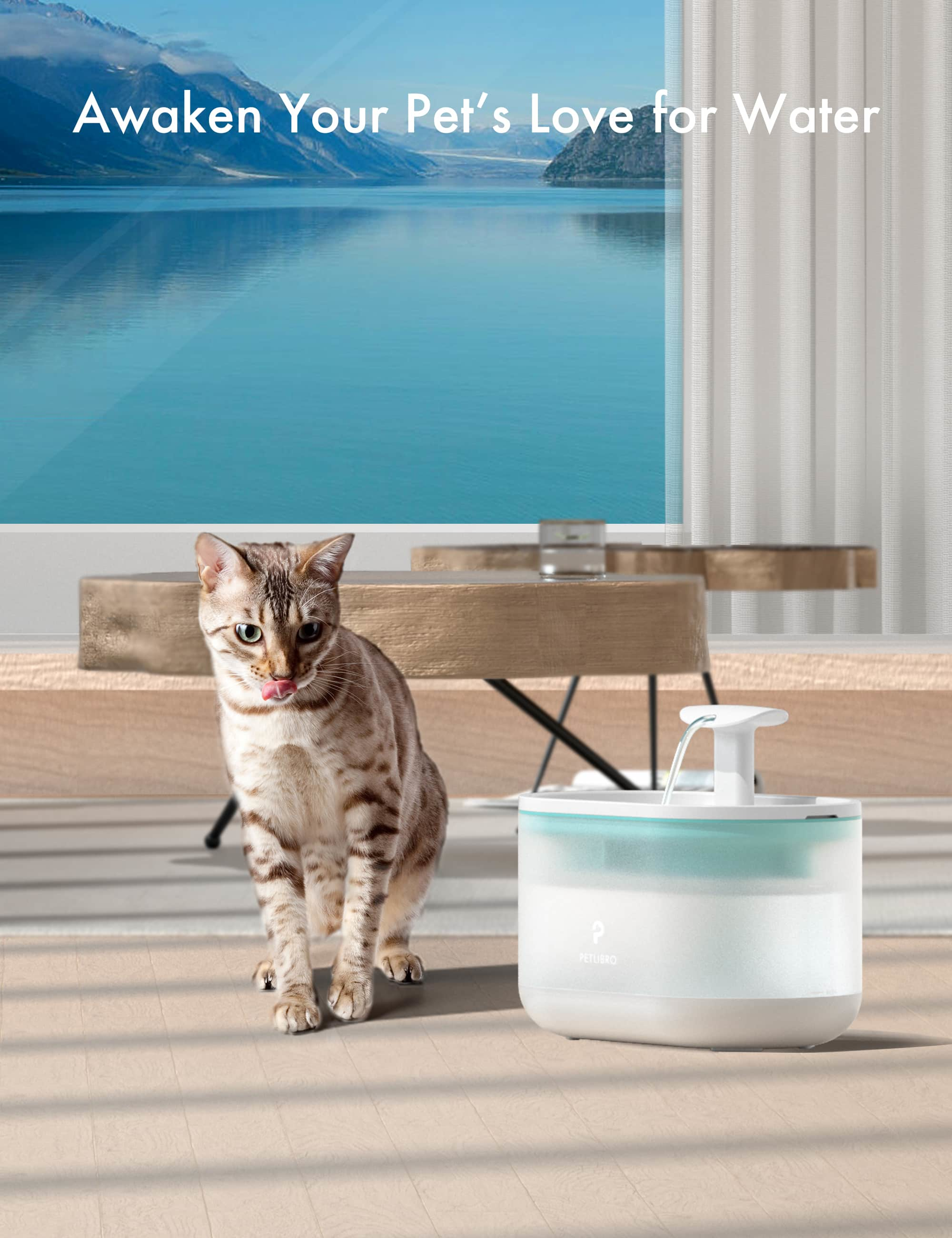 Un gatto vicino a una fontanella per animali domestici. Lo sfondo è una vista panoramica.