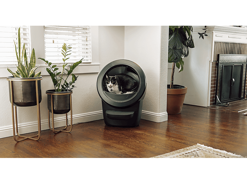 Whisker Litter-Robot 4, Schwarz, Katzentoilette — Foto 3 von 4