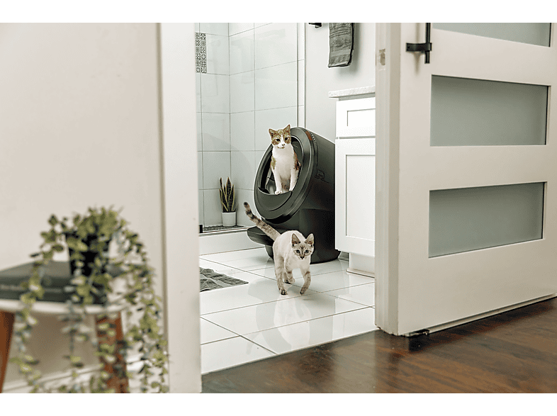 Whisker Litter-Robot 4, Schwarz, Katzentoilette — Foto 4 von 4
