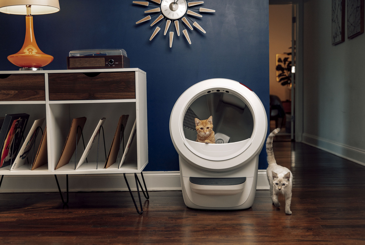 Lettiera automatica bianca con un gatto arancione dentro e un gatto bianco che cammina.