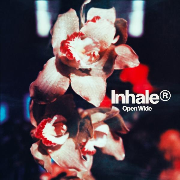 Albumhoes met bloemen. Roze en rode orchideeën staan centraal. Titel is "Inhale Open Wide".