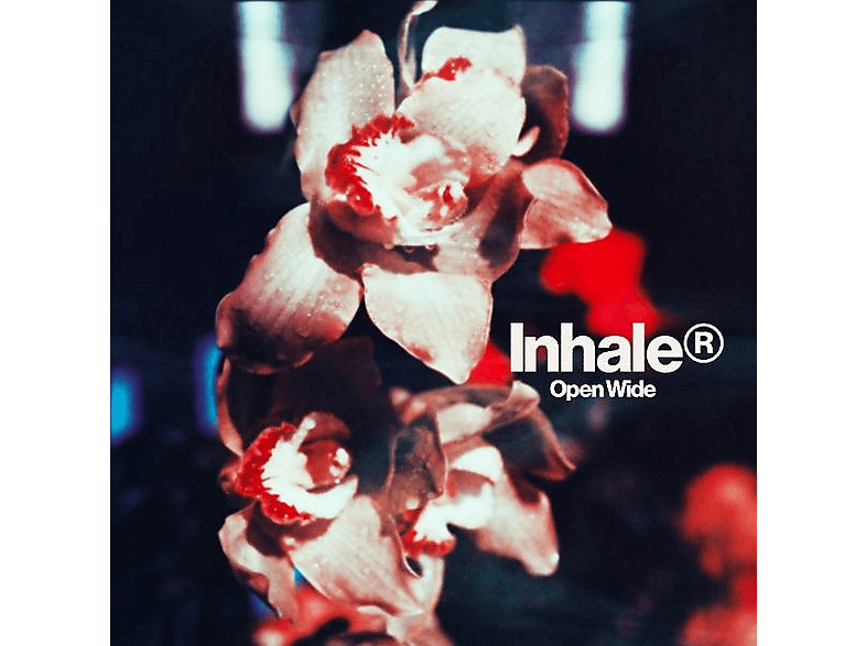 Polydor Inhaler : Open Wide - Lp
