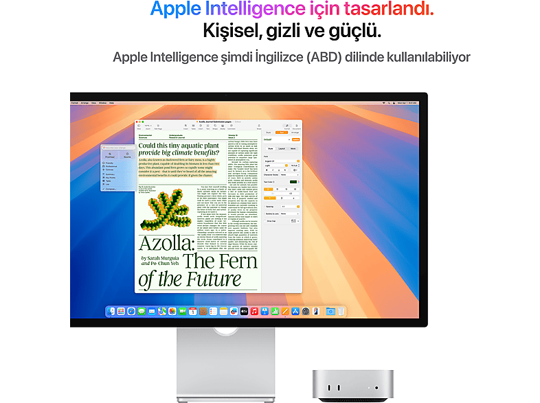 APPLE Mac mini: Apple M4 Çip (10 Çekirdekli CPU, 10 Çekirdekli GPU