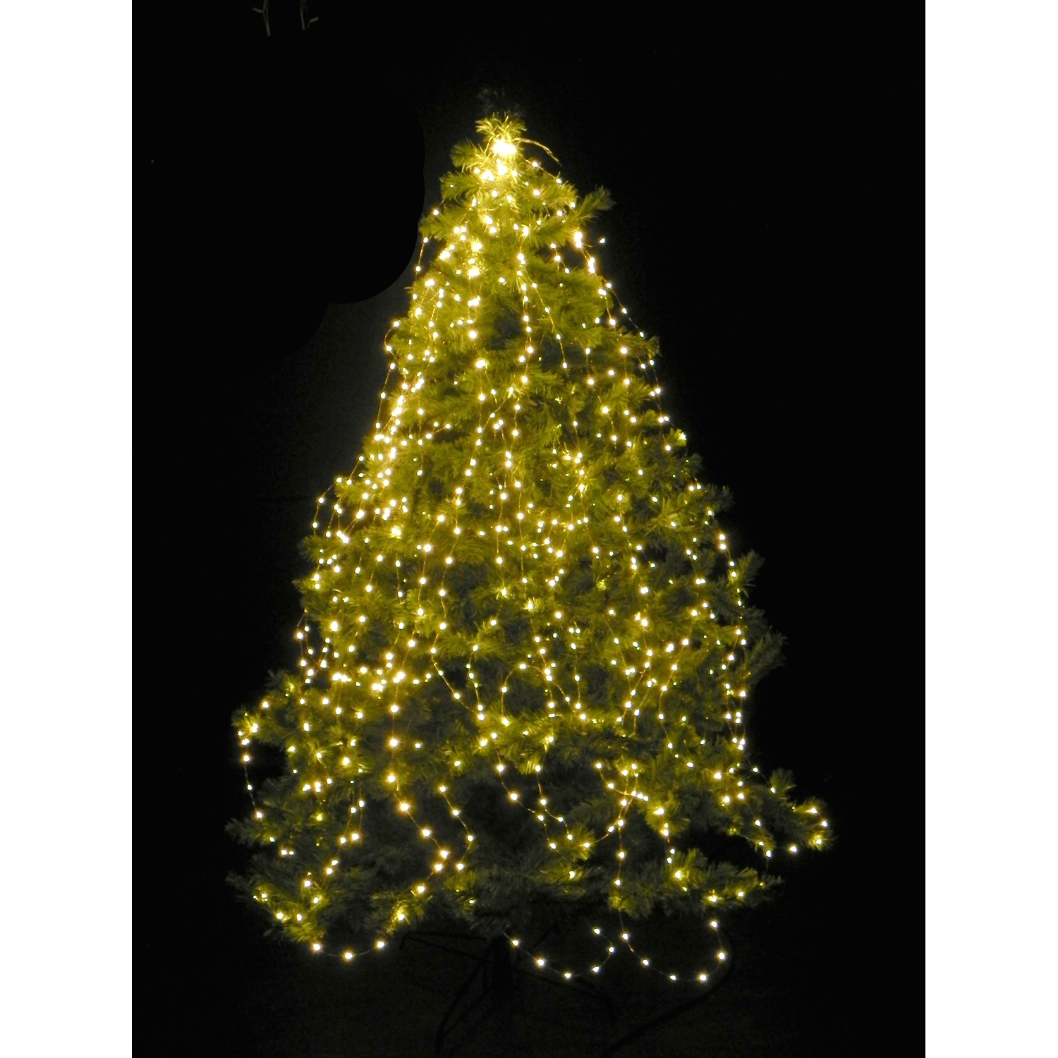 Un albero di Natale con luci gialle su sfondo nero.