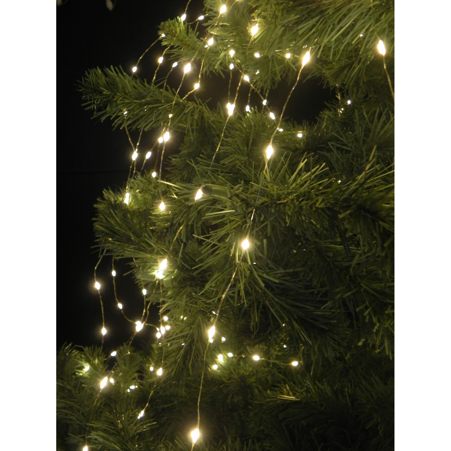 Primo piano di un albero di Natale con luci a stringa. Le luci sono piccole, bianco caldo e sparse.