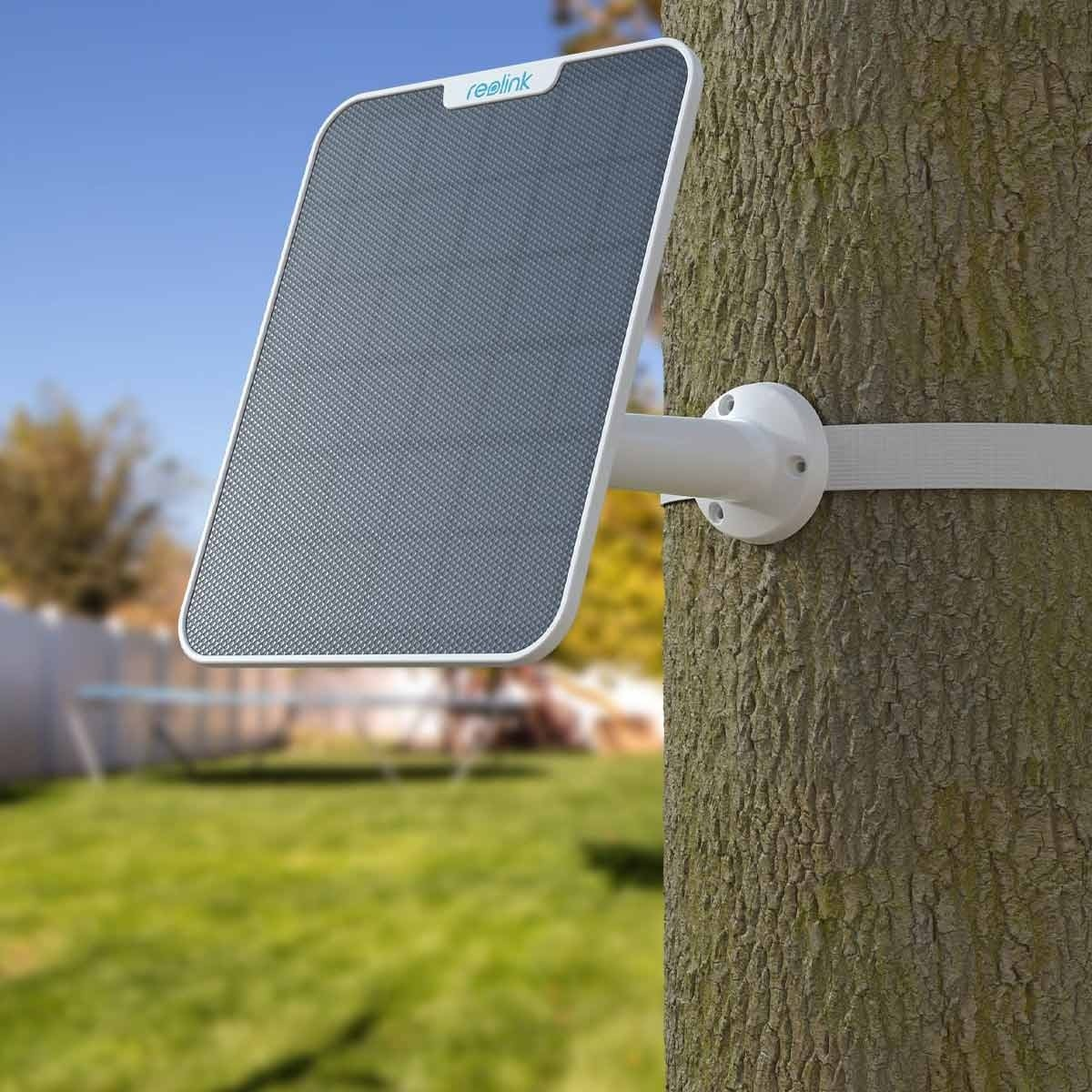 Un panneau solaire rectangulaire blanc est fixé à un arbre avec une sangle et un support blancs. Herbe verte et une maison en arrière-plan.