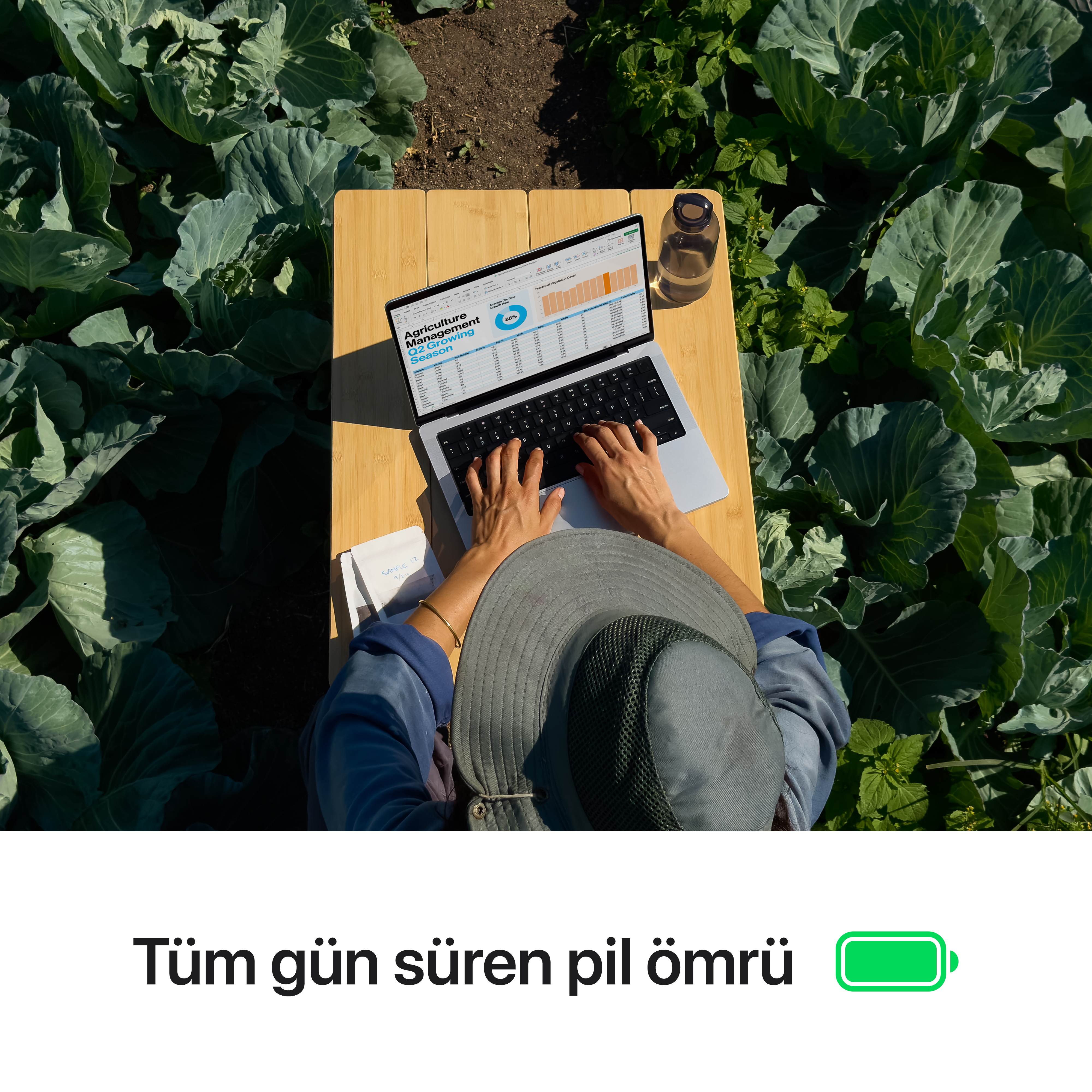 Bir kadın, lahana tarlasındaki ahşap bir masada dizüstü bilgisayar kullanıyor, yeşil pil simgesi.