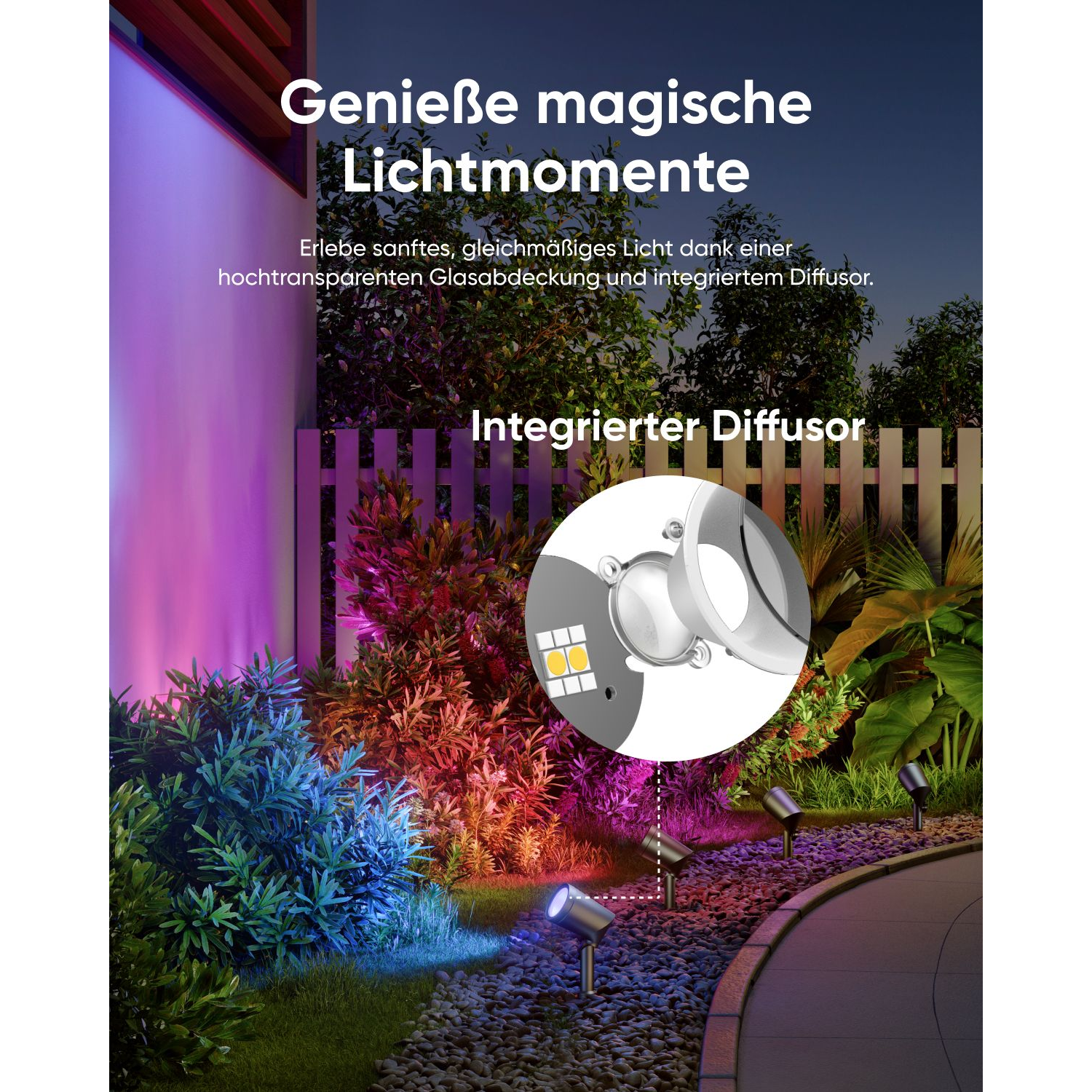 Garden scene with spotlights illuminating plants, with a focus on a white circular light.