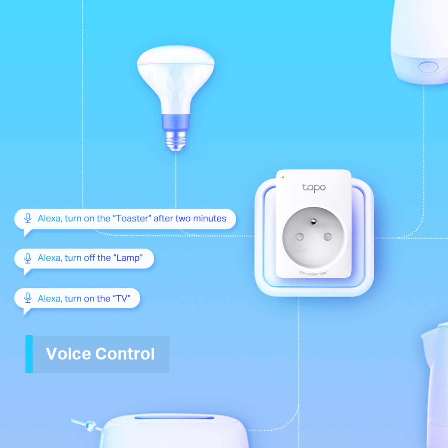 Voice control diagram with smart plug and bulb.