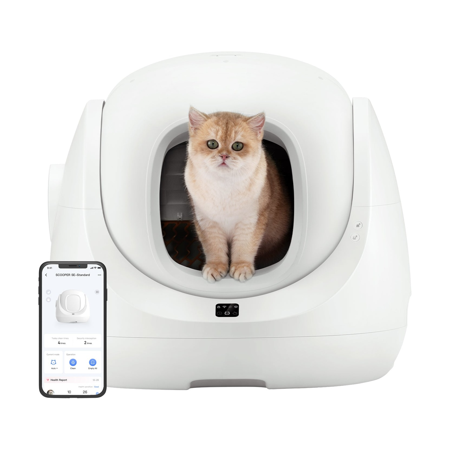 Un gatto è seduto in una lettiera bianca autopulente, uno smartphone mostra i comandi.