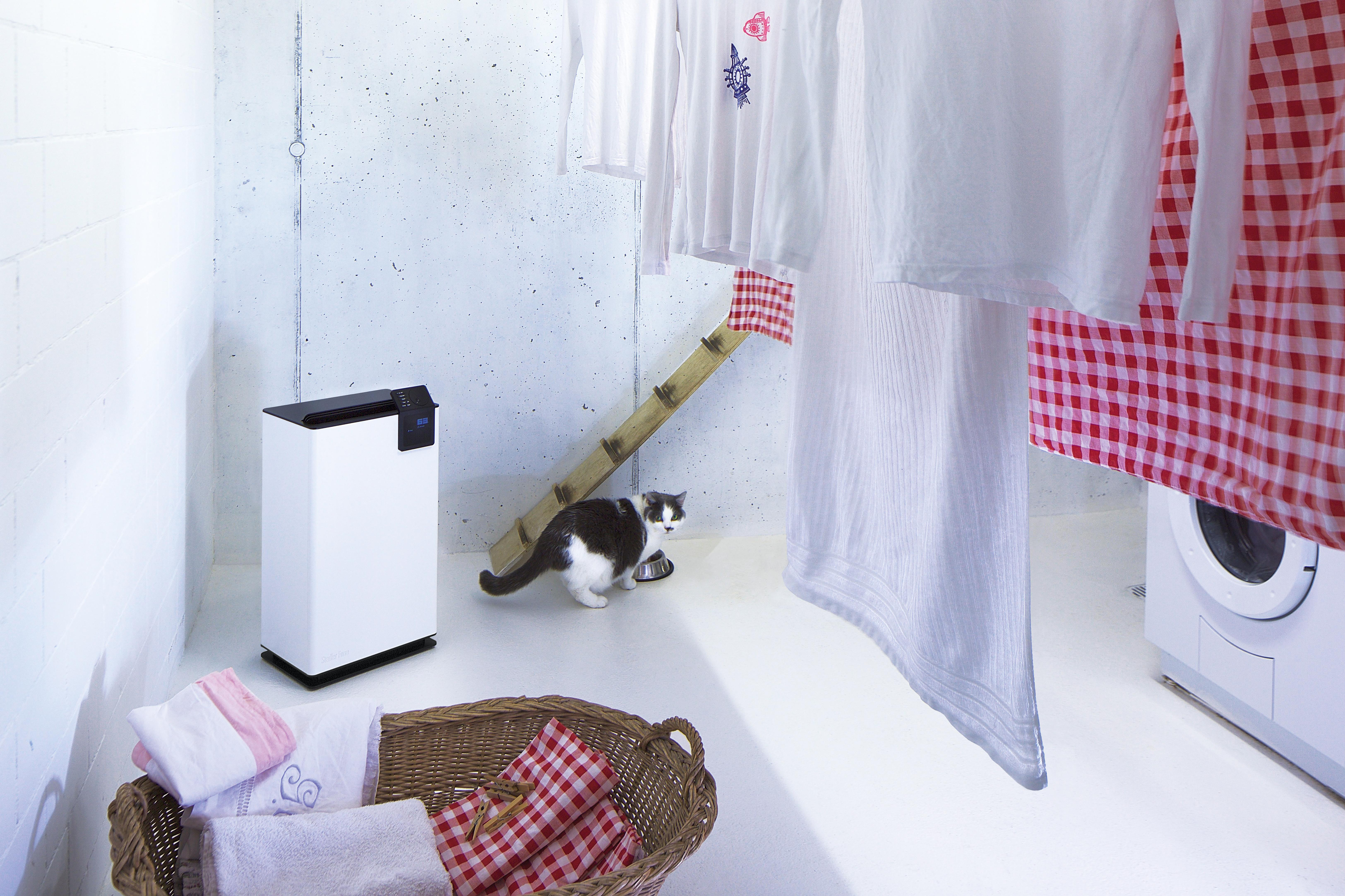 Waschküche mit hängender Kleidung, Katze, Korb und weißem Luftreiniger.