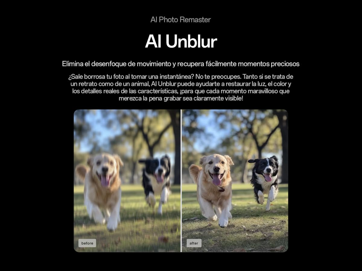Imagen que muestra el 'antes' y el 'después' de perros borrosos corriendo. El 'después' es nítido.