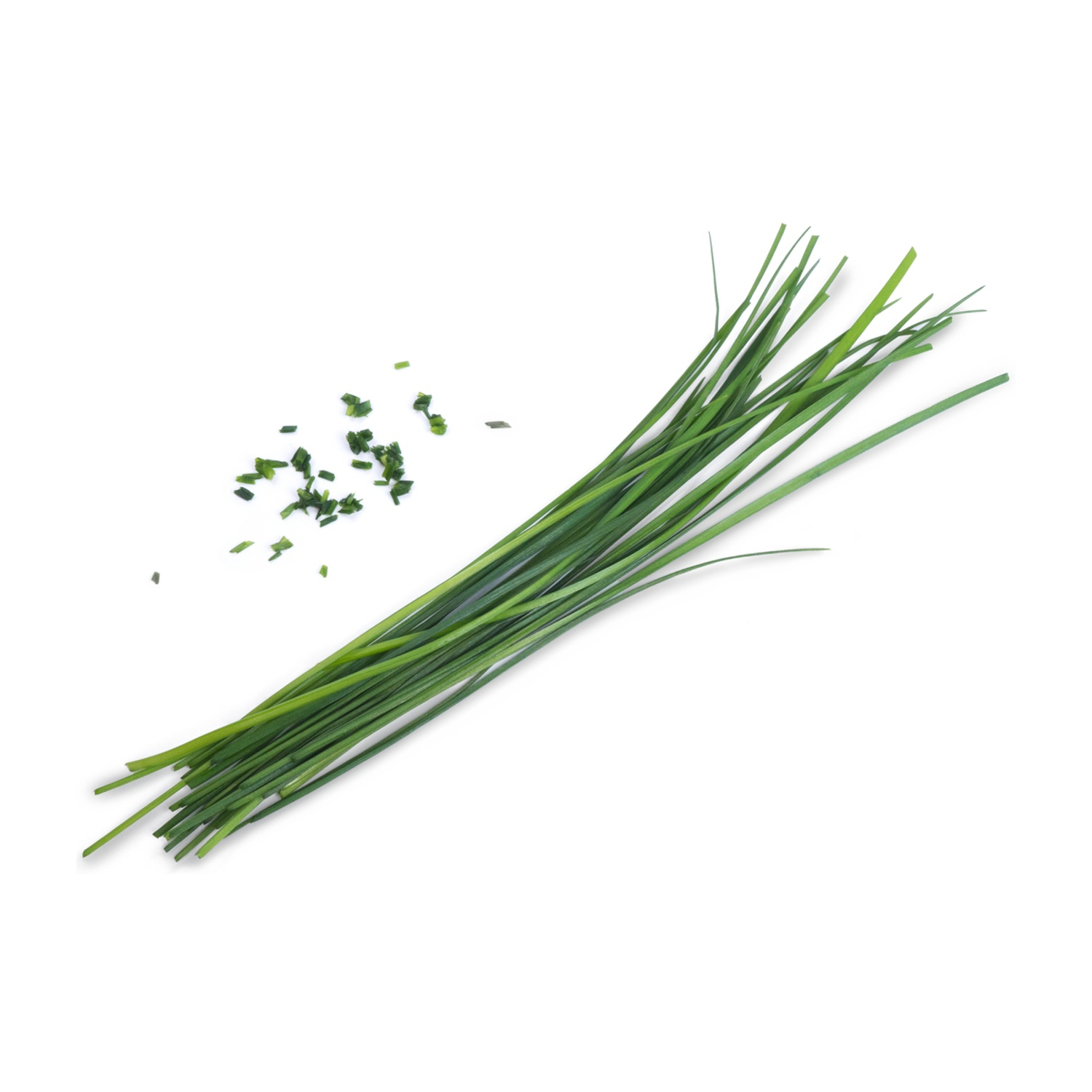 Erba cipollina verde fresca su sfondo bianco. Parte dell'erba cipollina è tritata.