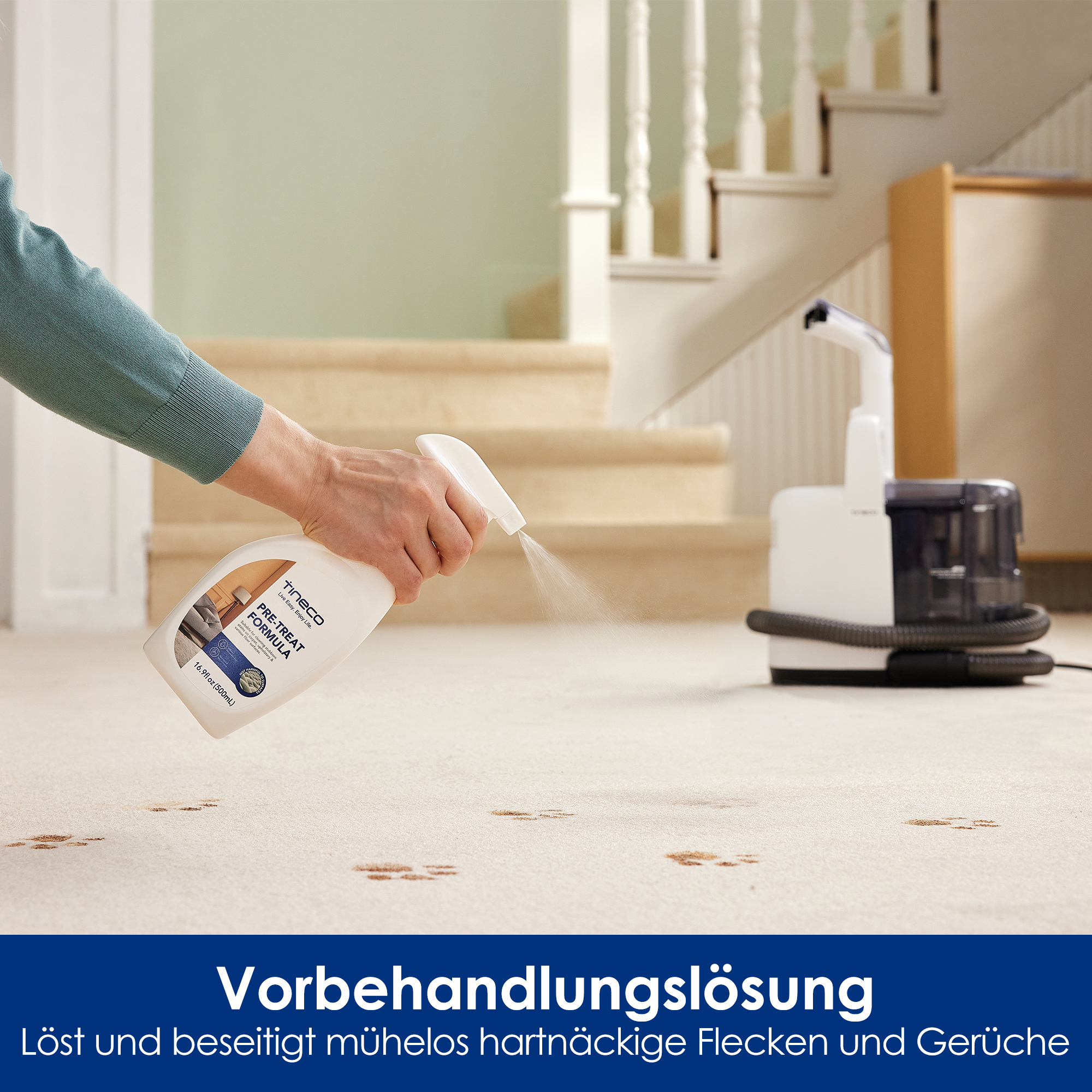 Eine Hand sprüht Reinigungslösung auf einen Teppich mit Flecken. Teppichreiniger im Hintergrund.