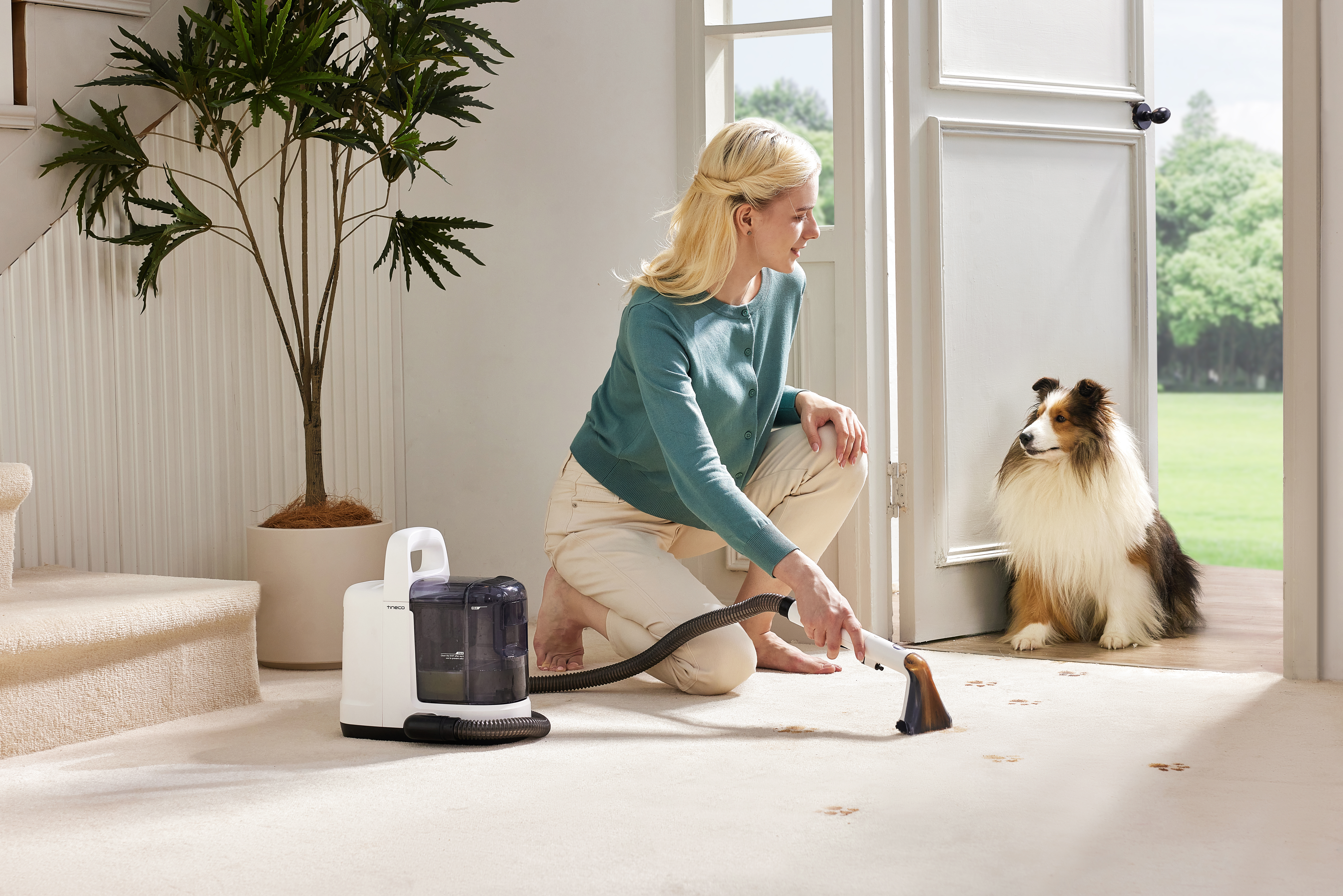 Eine Frau reinigt einen Teppich, ein Hund schaut zu, und eine weiße Reinigungsmaschine auf hellem Teppich.