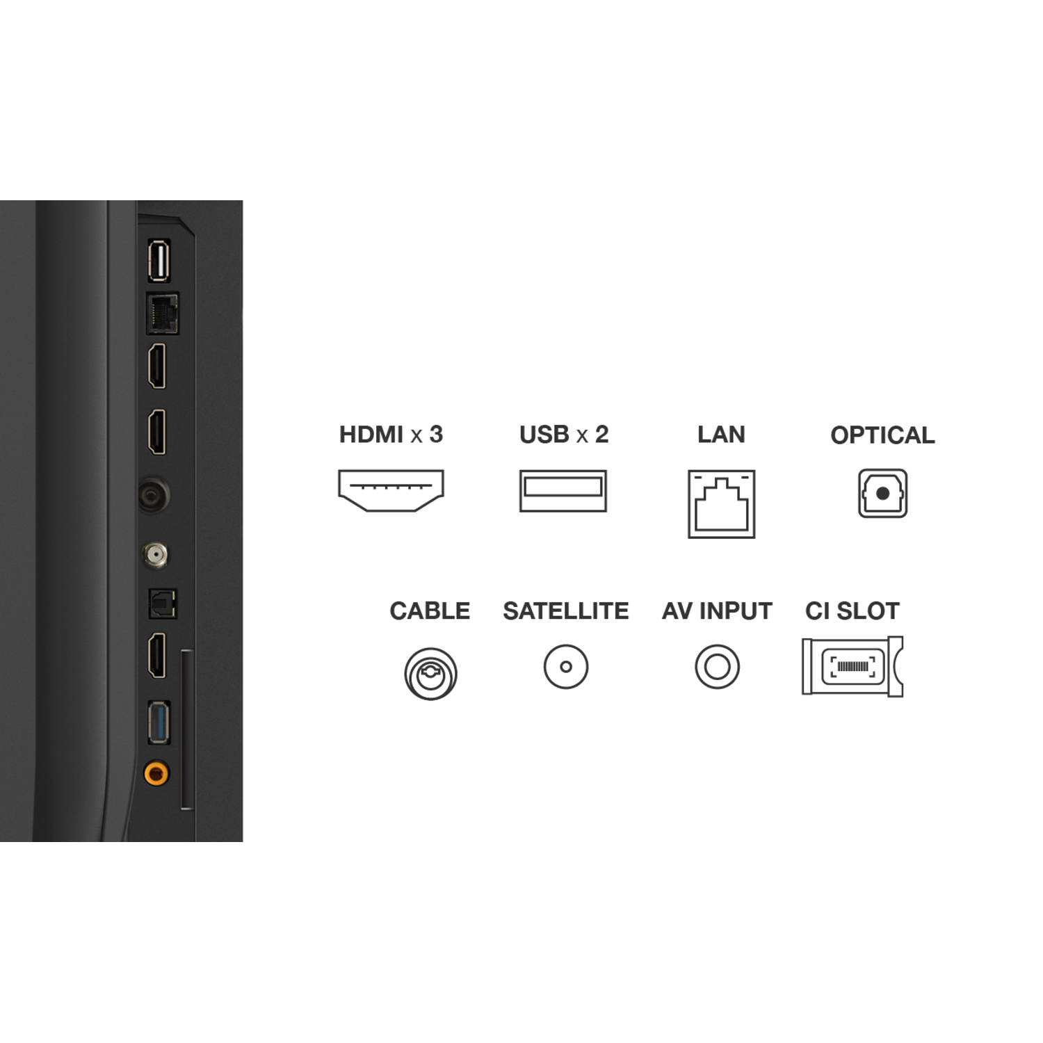 Ports TV : HDMI, USB, LAN, Optique, Câble, Satellite, Entrée AV et logement CI.