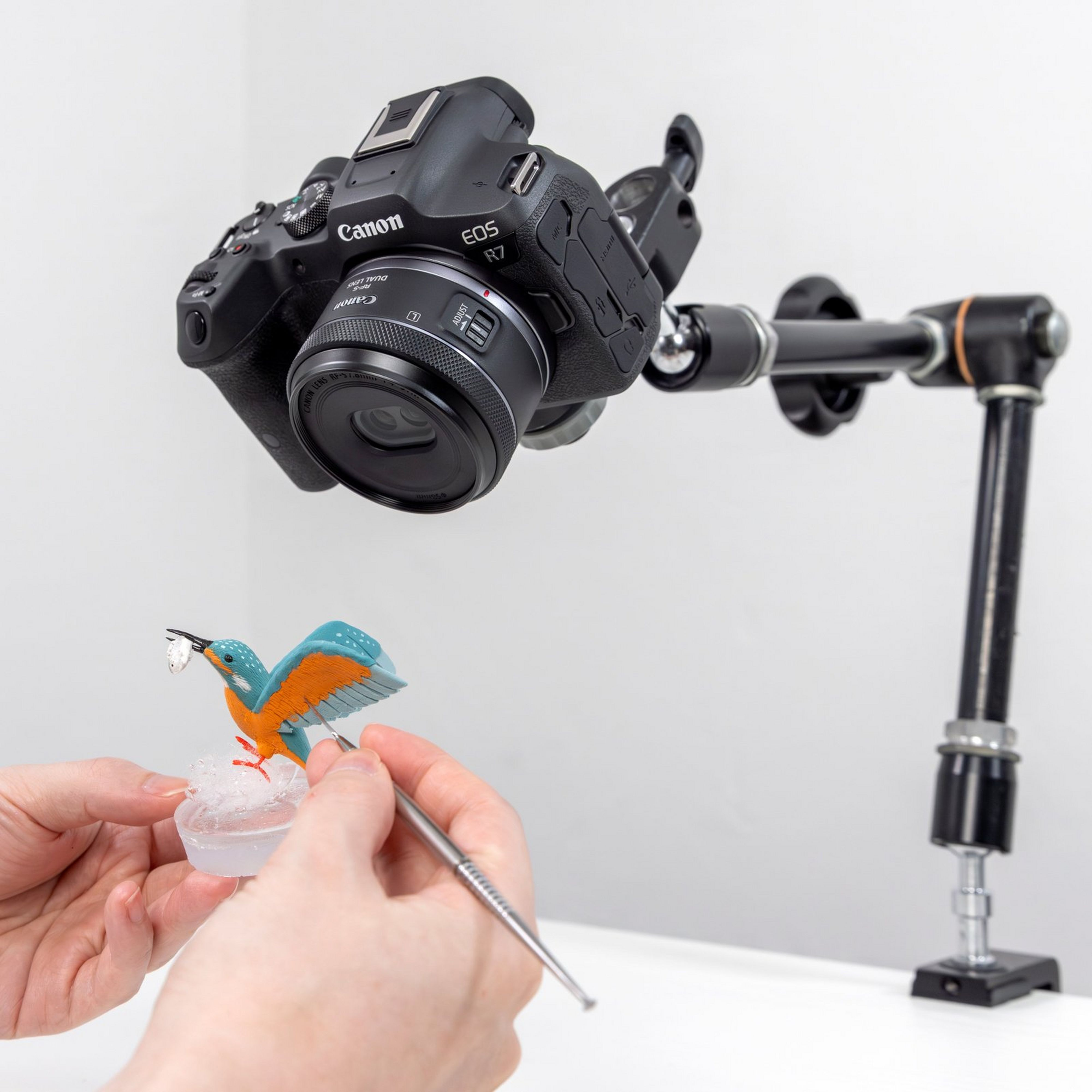Une installation de caméra filmant une petite sculpture d'oiseau, avec des mains utilisant un outil.