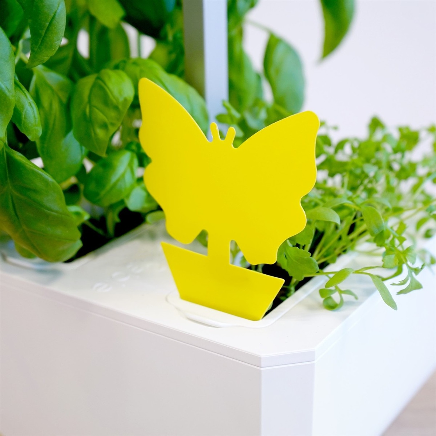 Trappola per insetti a forma di farfalla gialla in un contenitore bianco con piante verdi sullo sfondo.