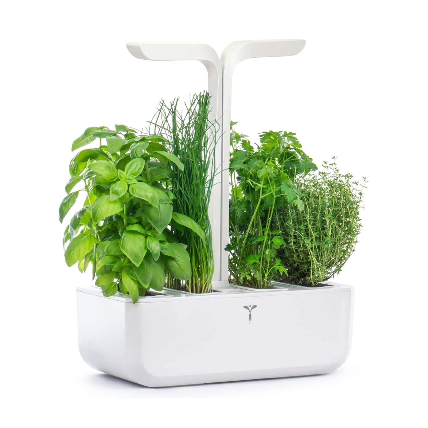 Giardino di erbe aromatiche da interno con basilico, erba cipollina, prezzemolo e timo. Il giardino è bianco e ha luci di crescita.