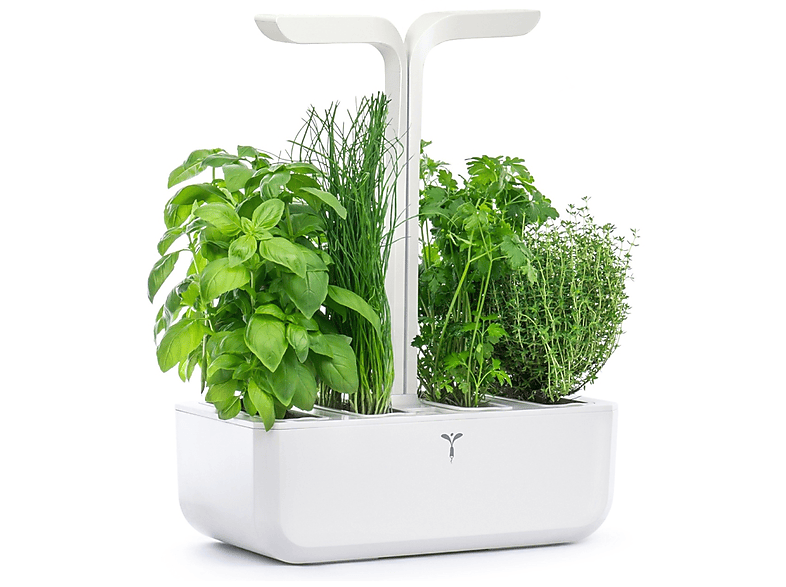 Orto DA Interno Veritable Classic