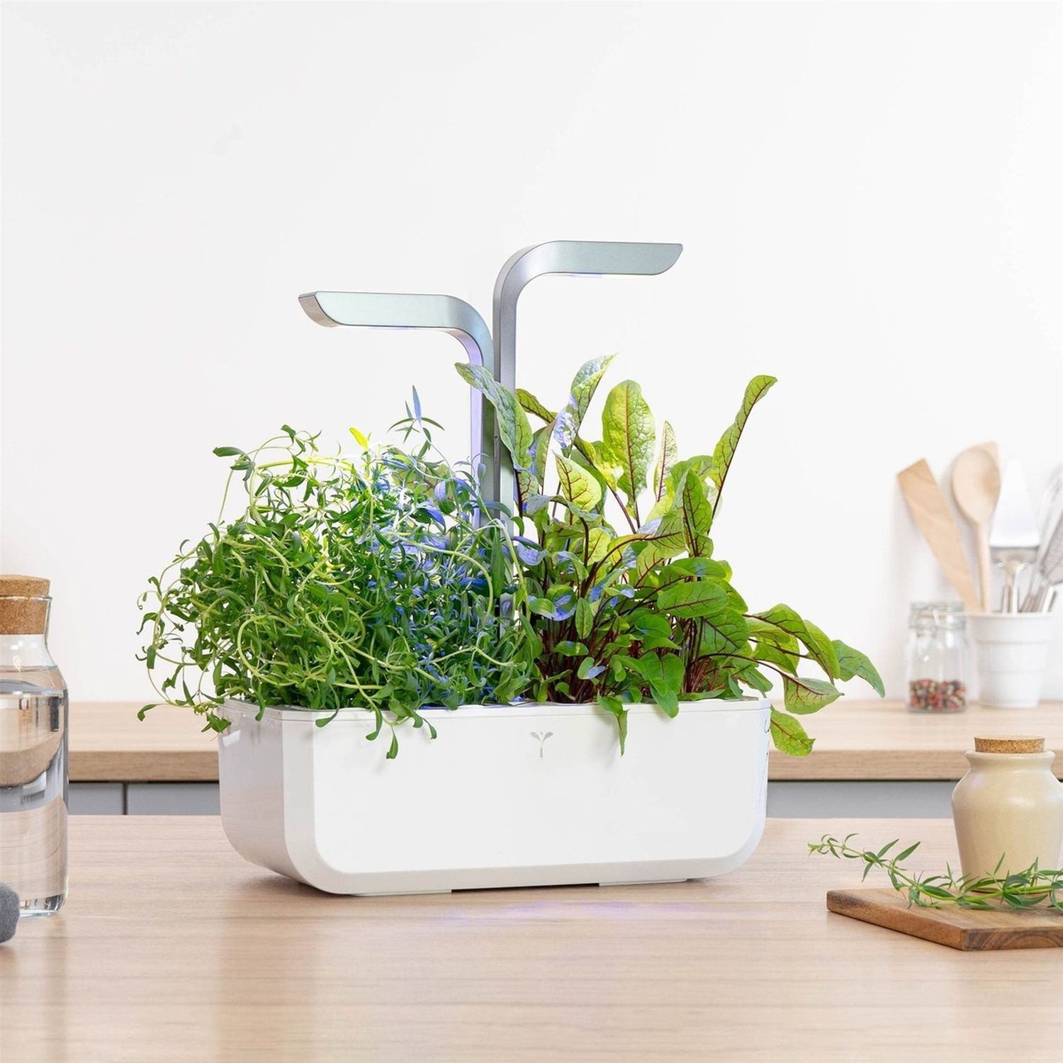 Un giardino interno bianco con piante e luci.
