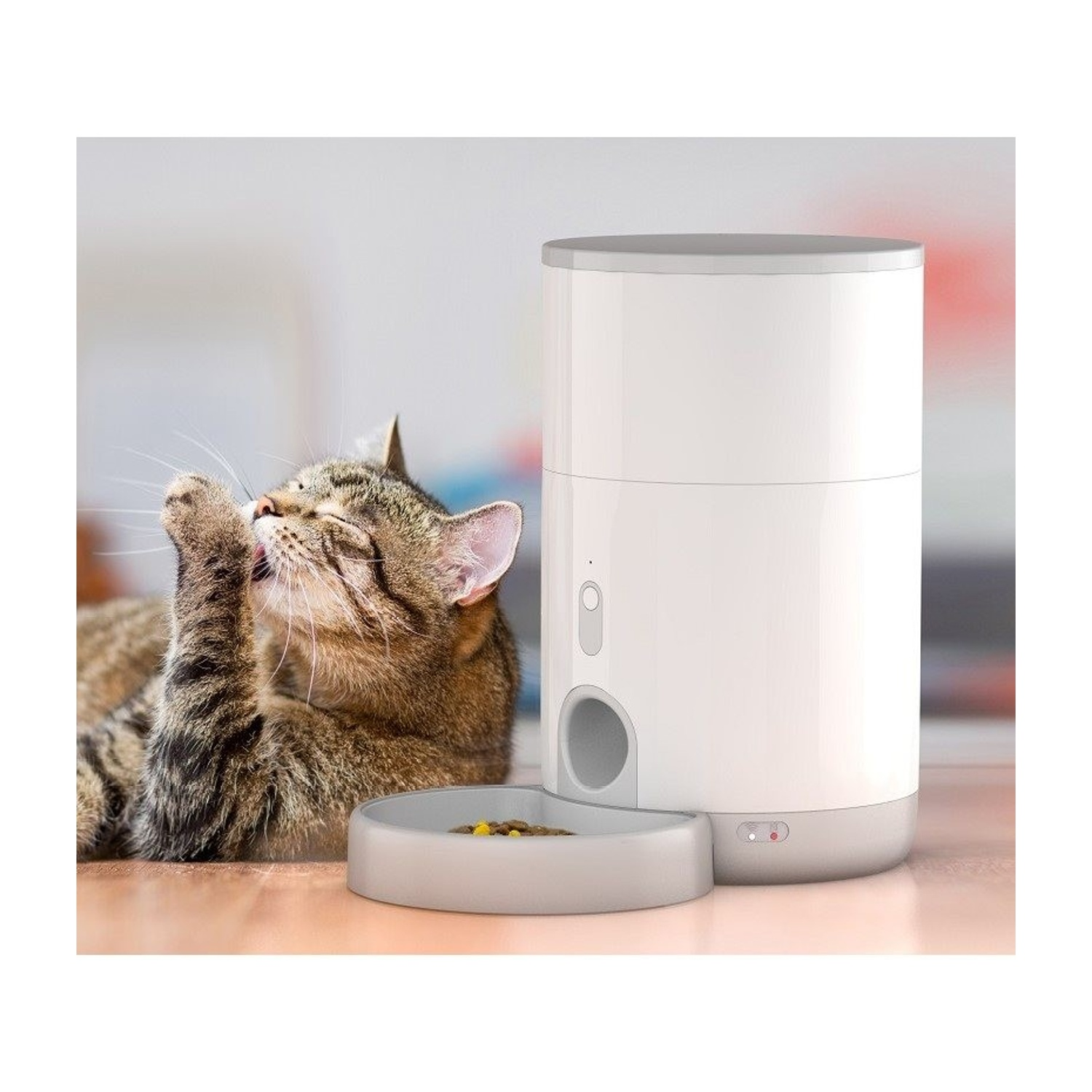 Gatto che mangia cibo da un distributore automatico bianco. Il distributore è cilindrico.