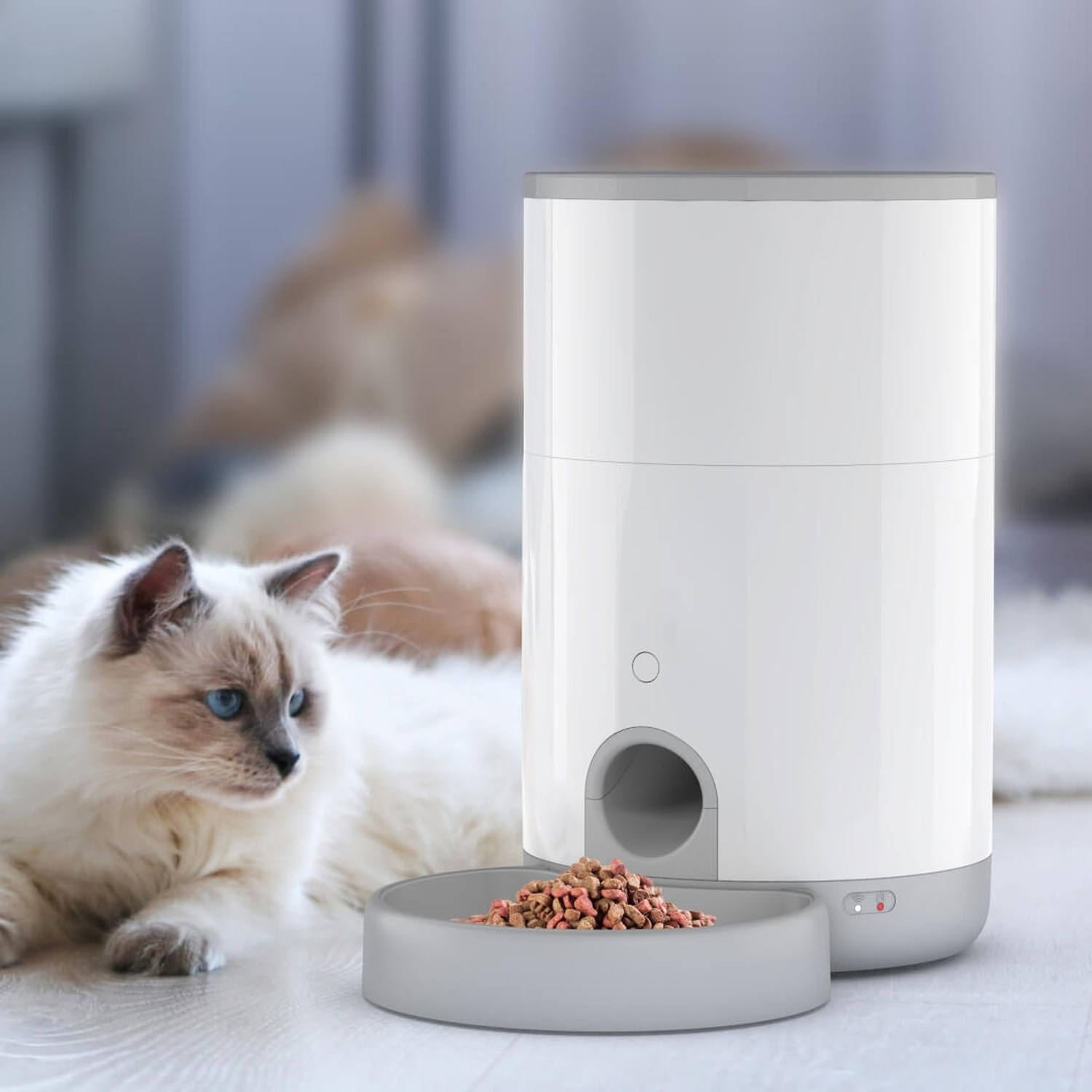 Un distributore di cibo per gatti bianco accanto a una ciotola di cibo. Un gatto sfocato sullo sfondo su un tappeto.