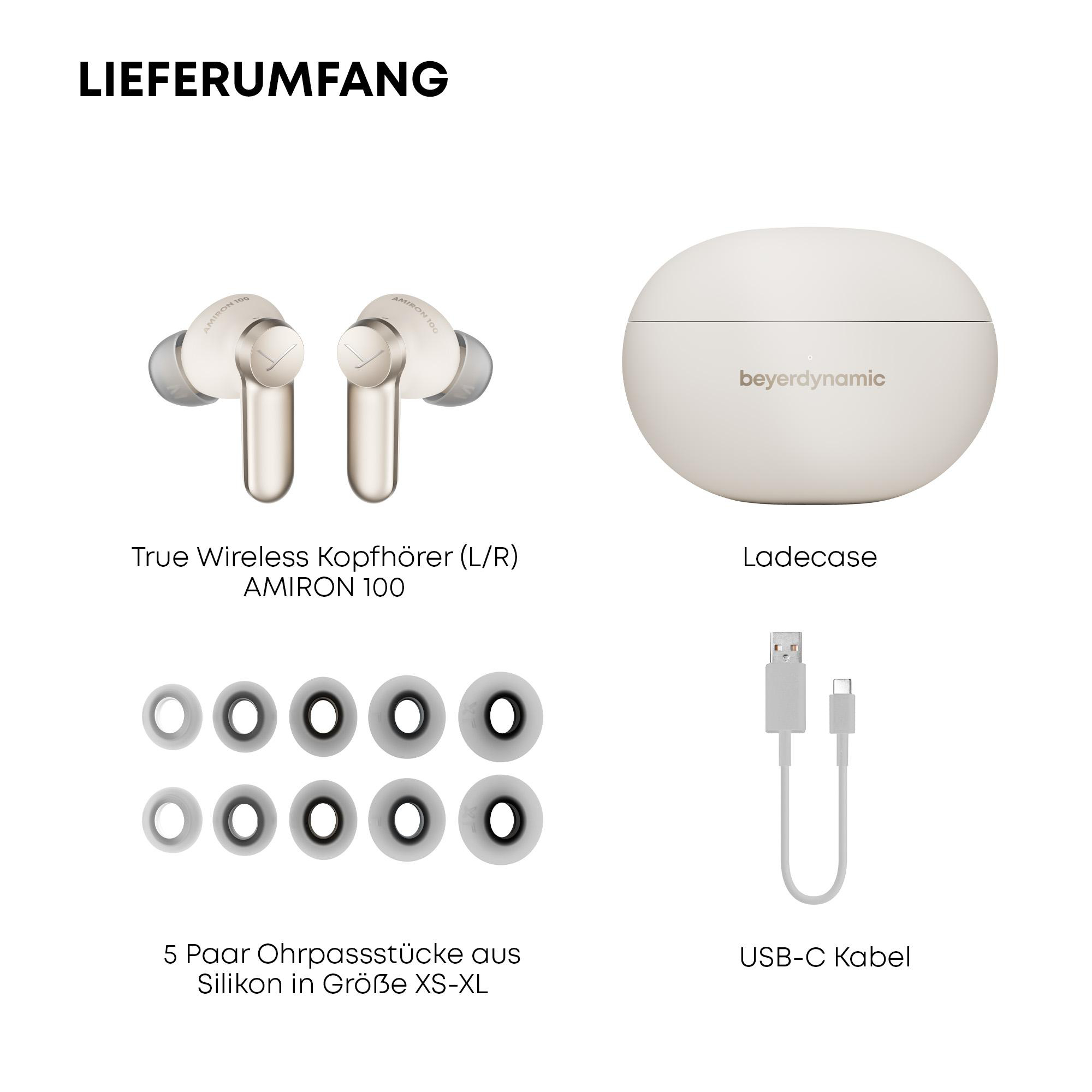 Das Bild zeigt Ohrhörer, ein Ladecase und ein USB-C-Kabel auf weißem Hintergrund.