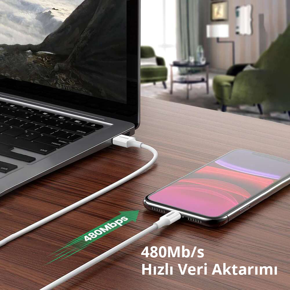 Beyaz kablo ile bağlı bir dizüstü bilgisayar ve akıllı telefon. Metin 480Mbps veri aktarımını gösteriyor.
