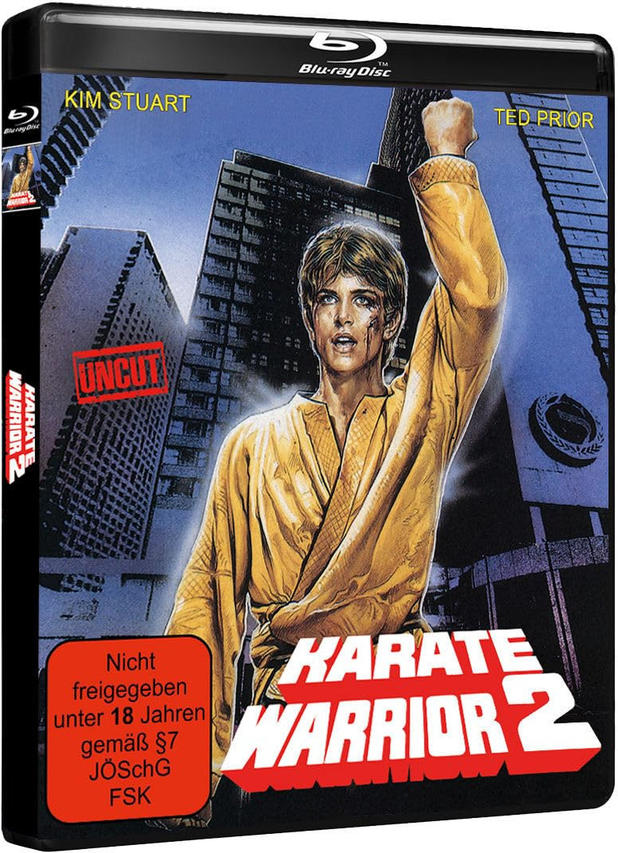 Filmcover von Karate Warrior 2. Ein Mann in Gelb hält eine Faust hoch.