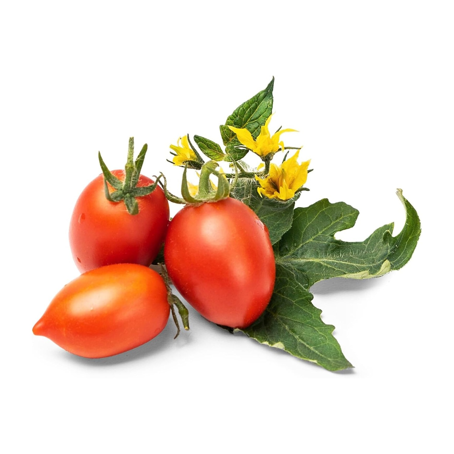 Tre pomodori rossi con foglie verdi e fiori gialli su sfondo bianco.