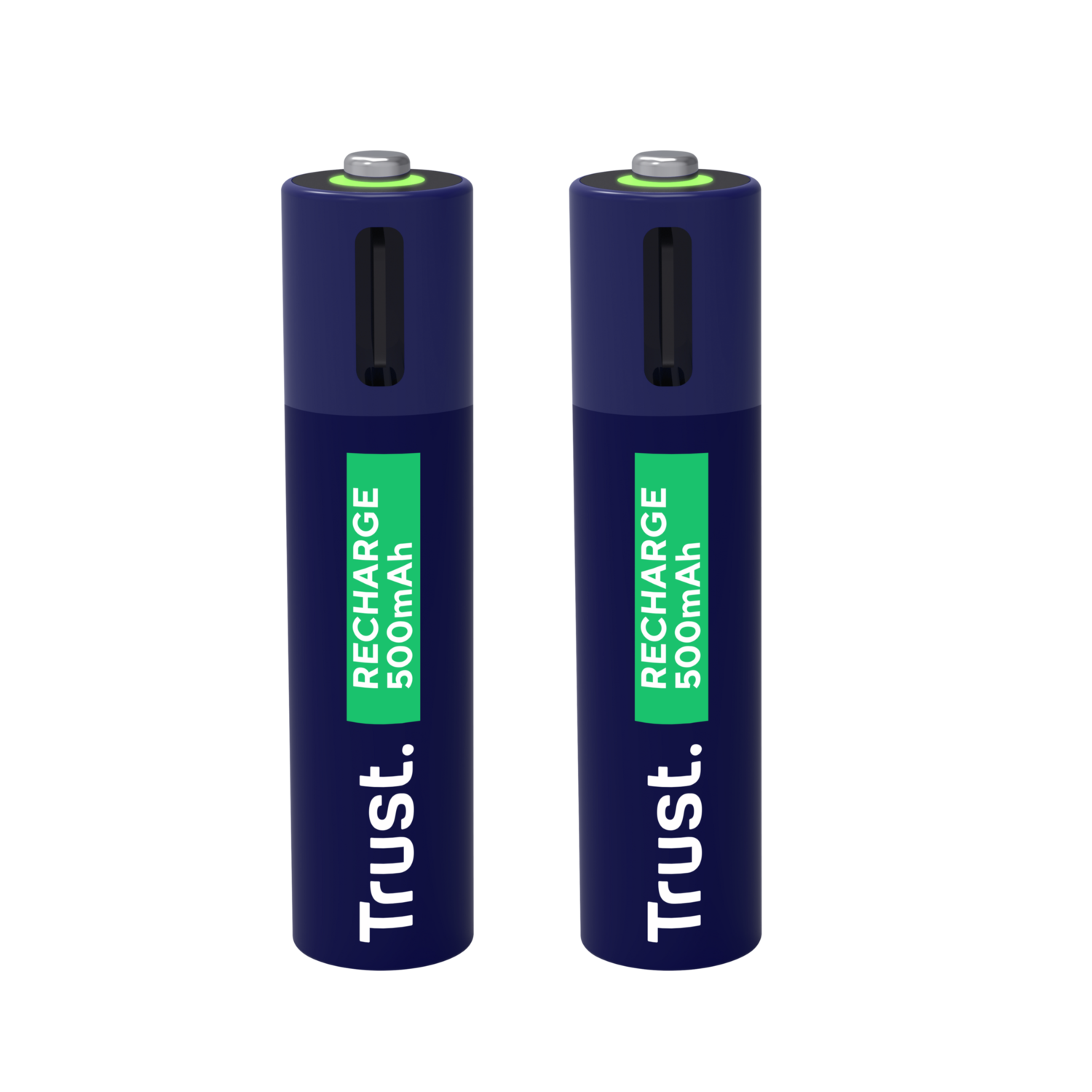 Two blue rechargeable batteries with green labels. Text on the label.