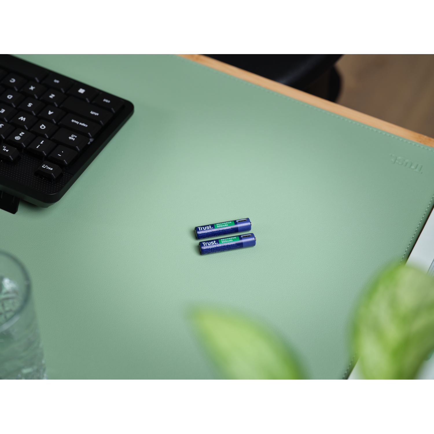 Two AA batteries are on a green desk pad near a keyboard, glass, and a plant.