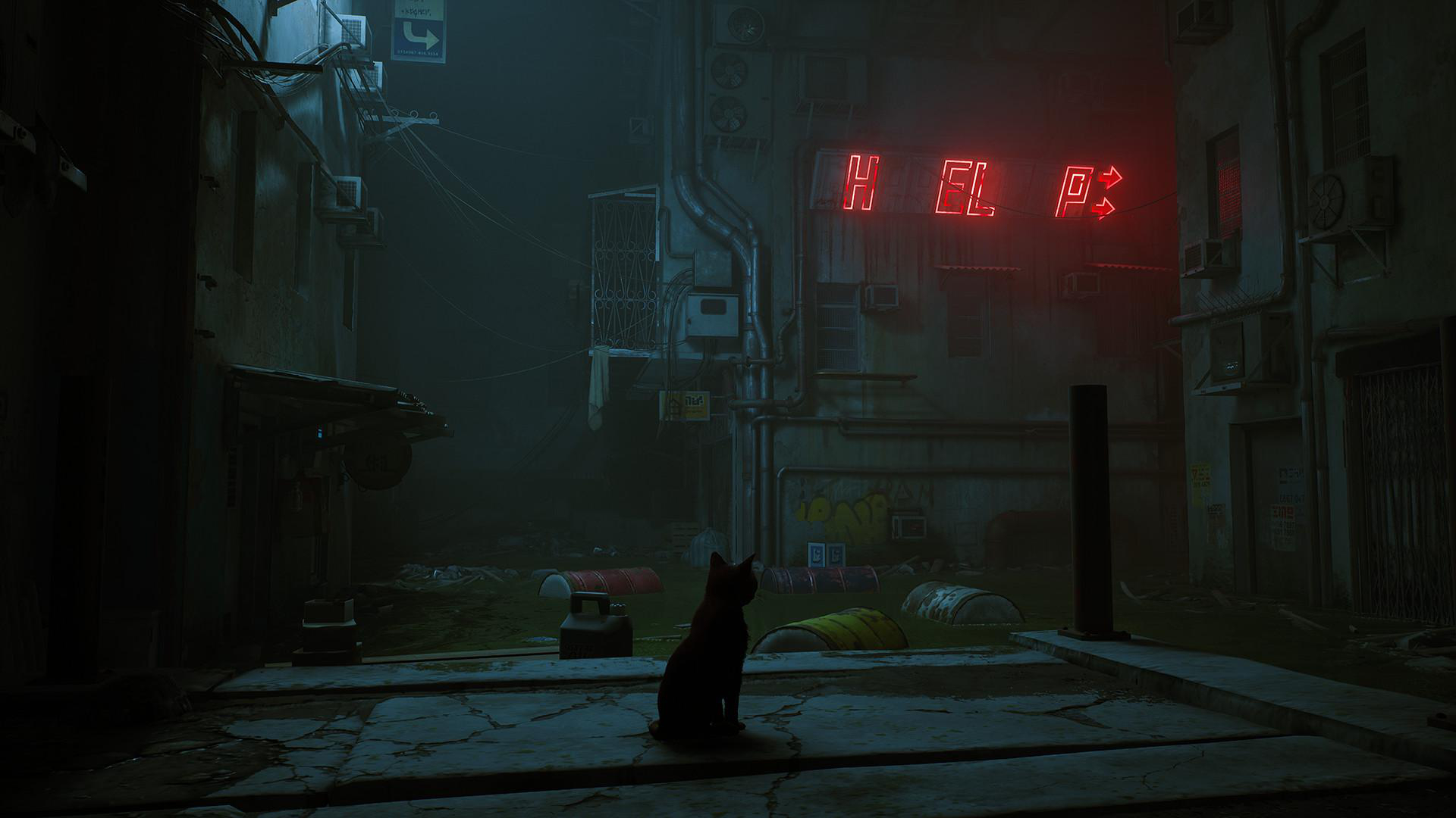 Eine schwarze Katze sitzt in einer dunklen Gasse mit einem Neonzeichen mit der Aufschrift HELP.