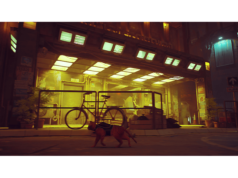 Stray - [Nintendo Switch]