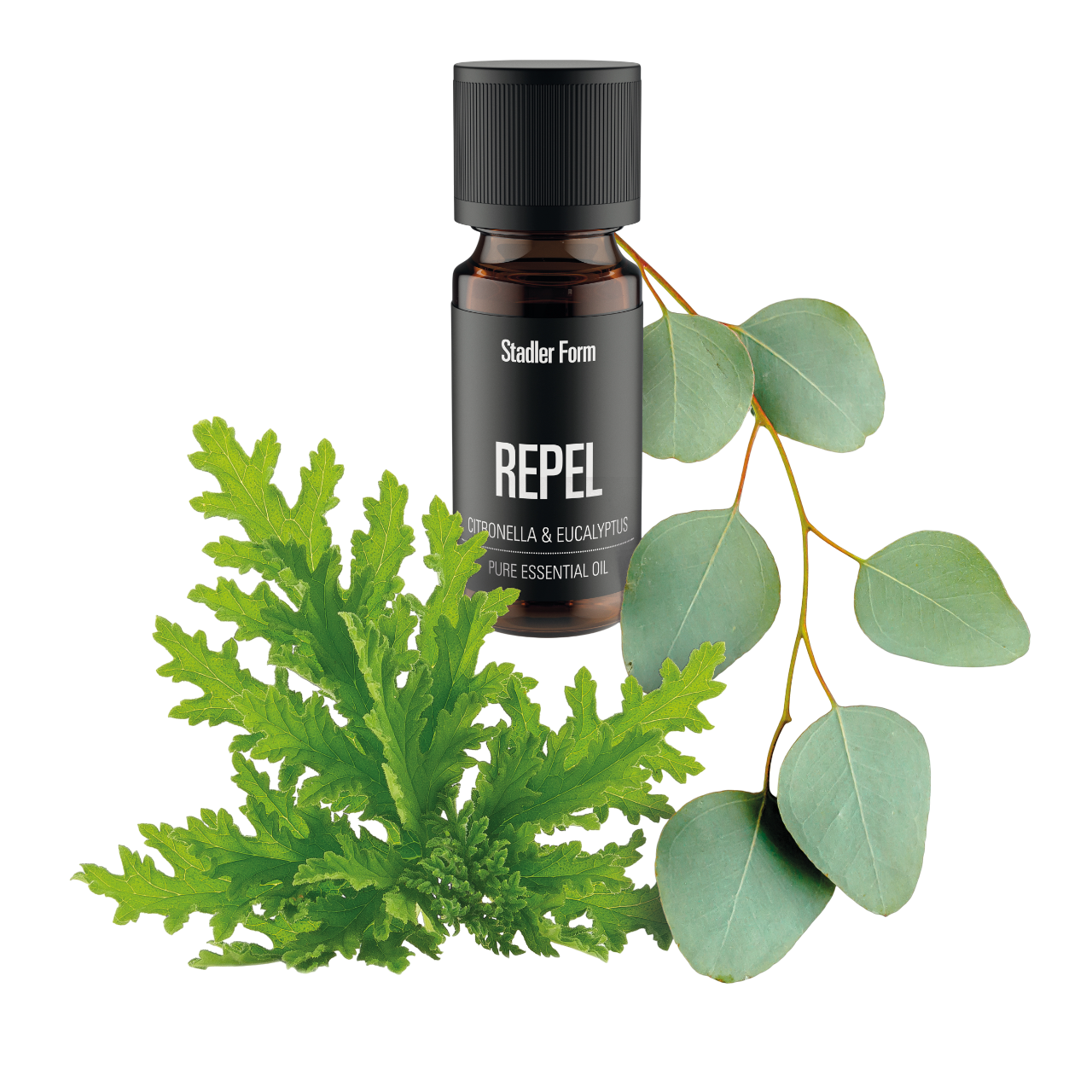 Eine Flasche Stadler Form Repel mit Citronella und Eukalyptus. Grüne Pflanze und Eukalyptuszweig auf schwarzem Grund.