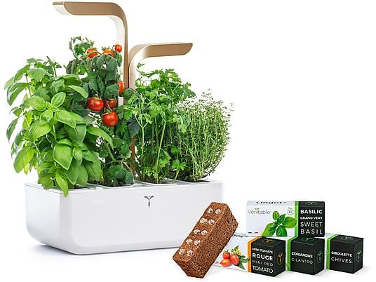 Indoor-Garten mit Kräutern und Tomaten. Saatgutpäckchen sind sichtbar.